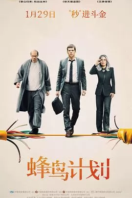 蜂鸟计划