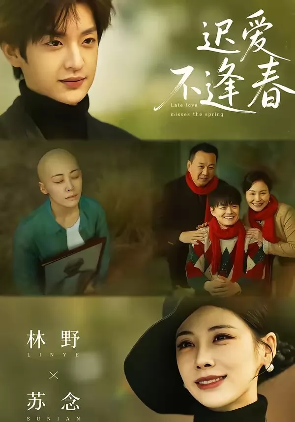 迟爱不逢春