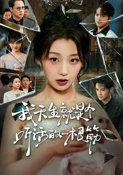 我天生就是个听话的一根筋