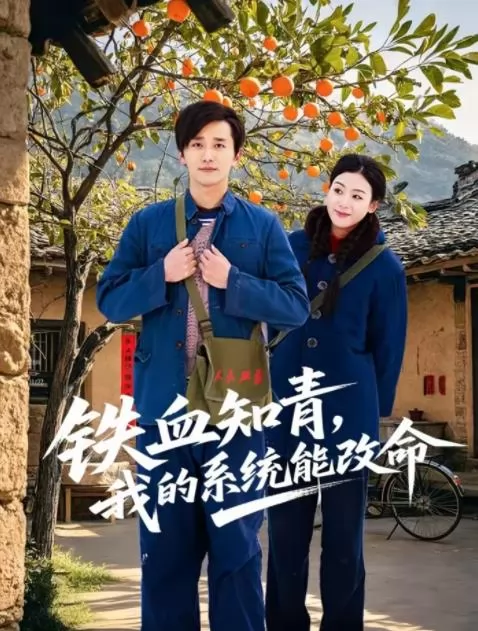 铁血知青，我的系统能改命