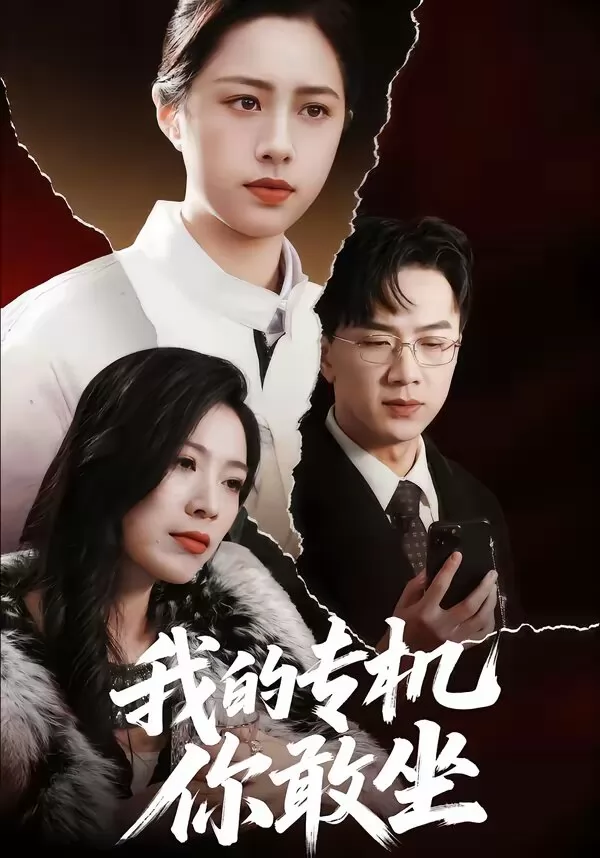 我的专机你敢坐
